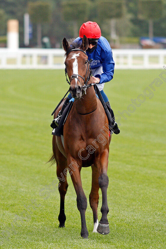 Renaissance-Rose-0001 
 RENAISSANCE ROSE (William Buick)
Ascot 25 Jul 2020 - Pic Steven Cargill / Racingfotos.com