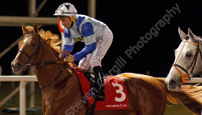 Dublin-Pharaoh-0001 
 DUBLIN PHARAOH (John Egan)
Chelmsford 28 Nov 2019 - Pic Steven Cargill / Racingfotos.com