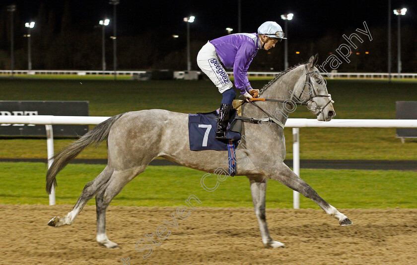 Silver-Dawn-0002 
 SILVER DAWN (David Probert)
Wolverhampton 11 Mar 2022 - Pic Steven Cargill / Racingfotos.com