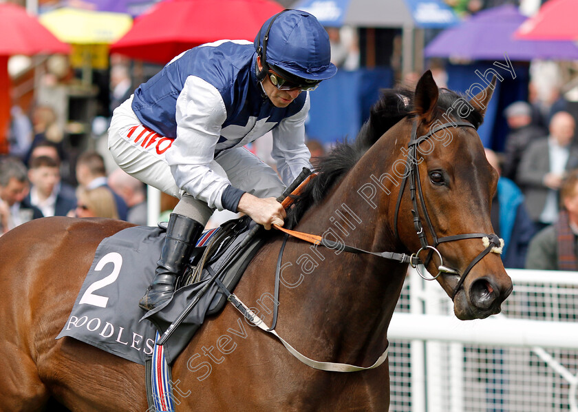 Afterwards-0001 
 AFTERWARDS (Joe Fanning)
Chester 11 May 2023 - Pic Steven Cargill / Racingfotos.com