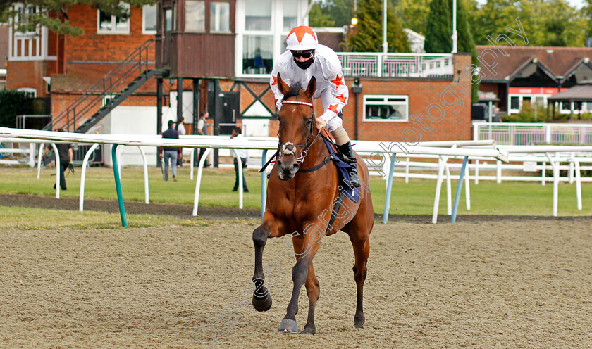 French-Battle-0001 
 FRENCH BATTLE (Stevie Donohoe)
Lingfield 4 Aug 2020 - Pic Steven Cargill / Racingfotos.com