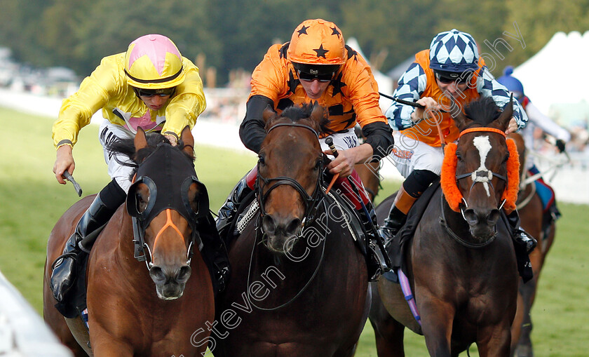 Dirty-Rascal-0004 
 DIRTY RASCAL (left, Tom Marquand) beats SALUTE THE SOLDIER (centre) in The New & Lingwood Handicap
Goodwood 31 Jul 2019 - Pic Steven Cargill / Racingfotos.com