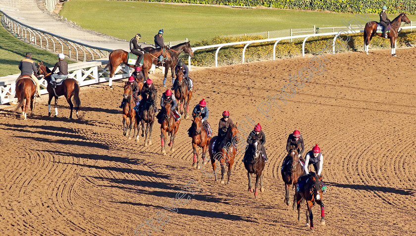 Aidan-O Brien-string-0002 
 The Aidan O'Brien string training for The Breeders' Cup 
Santa Anita USA, 31 October 2023 - Pic Steven Cargill / Racingfotos.com