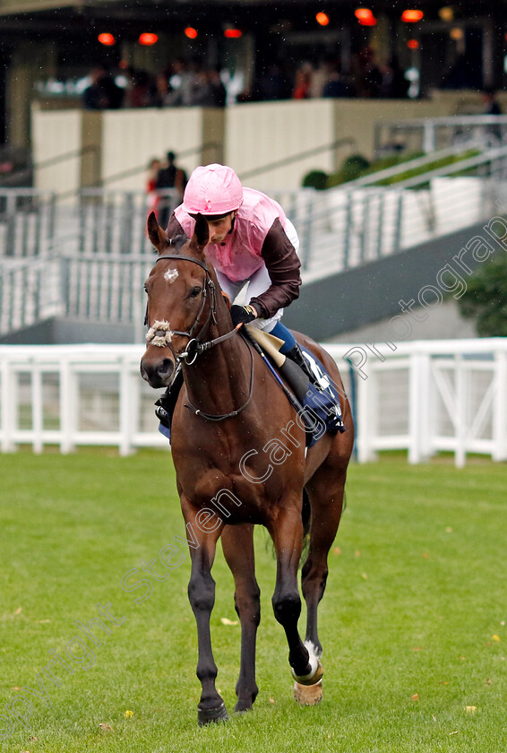 Cadmus-0007 
 CADMUS (William Buick) winner of The Peroni Nastro Azzurro Novice Stakes
Ascot 30 Sep 2022 - Pic Steven Cargill / Racingfotos.com