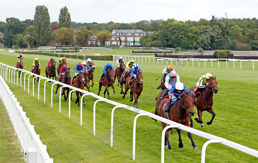 One-Ruler-0002 
 ONE RULER (William Buick) wins The Betway Maiden Stakes
Sandown 23 Aug 2020 - Pic Steven Cargill / Racingfotos.com