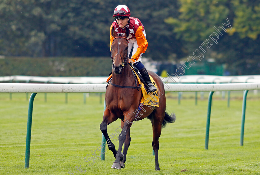 Lincoln-Rockstar-0001 
 LINCOLN ROCKSTAR (Rhys Elliott)
Haydock 7 Sep 2024 - Pic Steven Cargill / Racingfotos.com