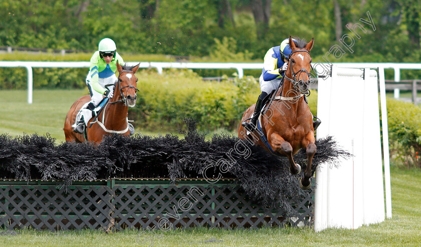 Lord-Justice-0002 
 LORD JUSTICE (Sean McDermott) wins The Green Pastures Hurdle at Perct Warner Park, Nashville 12 May 2018 - Pic Steven Cargill / Racingfotos.com