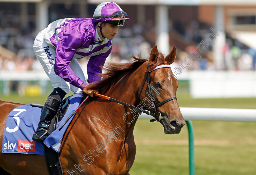 Nachtrose-0003 
 NACHTROSE (Rene Piechulek)
Haydock 10 Jun 2023 - Pic Steven Cargill / Racingfotos.com