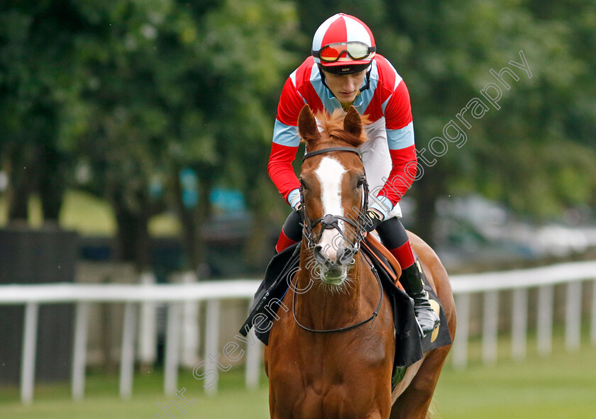 Fleurir-0002 
 FLEURIR (David Egan)
Newmarket 30 Jun 2023 - Pic Steven Cargill / Racingfotos.com