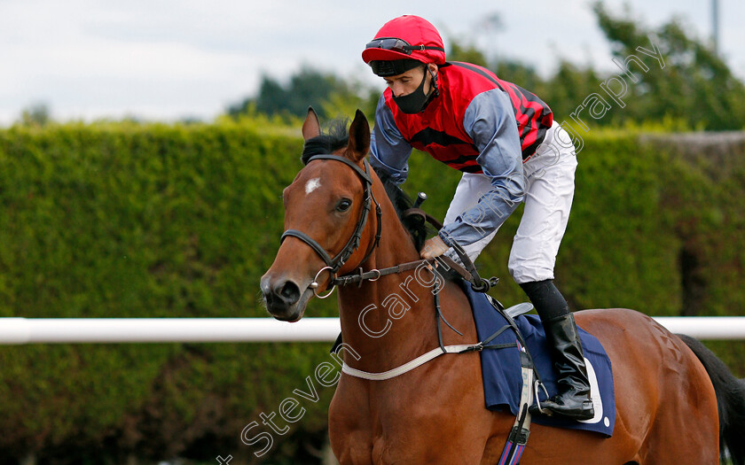 Well-Planted-0001 
 WELL PLANTED (David Nolan)
Wolverhampton 31 Jul 2020 - Pic Steven Cargill / Racingfotos.com