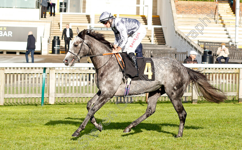 Luis-Fernando 
 LUIS FERNANDO (Tom Marquand)
Newmarket 20 Oct 2021 - Pic Steven Cargill / Racingfotos.com