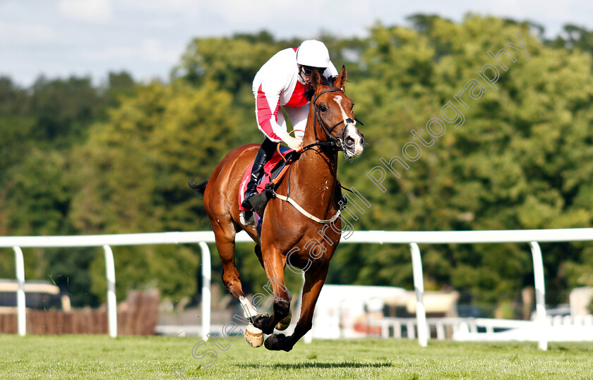 Goshen-0004 
 GOSHEN (Hector Crouch) wins The Carpetright Supports The BHF Handicap
Sandown 14 Jun 2019 - Pic Steven Cargill / Racingfotos.com