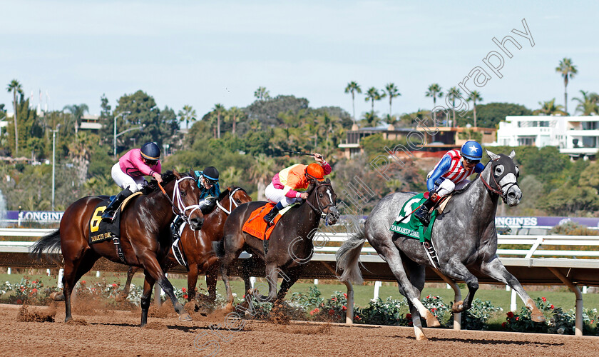 Americanize-0006 
 AMERICANIZE (Rafael Bejarano) wins The Damascus Stakes, Del Mar USA 3 Nov 2017 - Pic Steven Cargill / Racingfotos.com