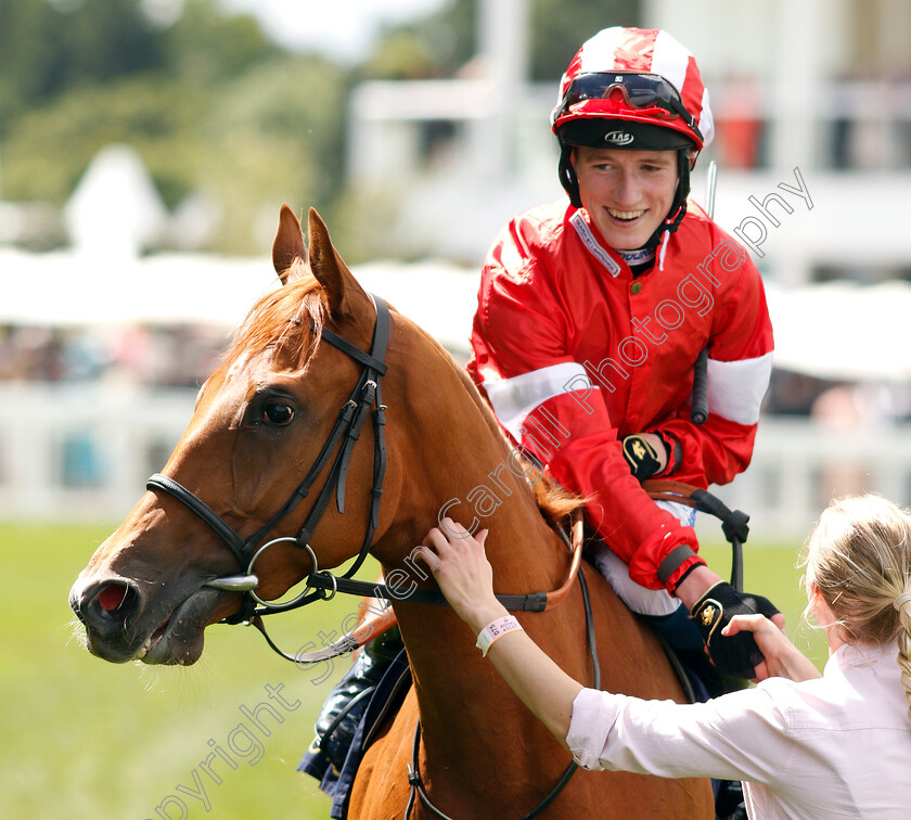 Daahyeh-0012 
 DAAHYEH (David Egan) after The Albany Stakes
Royal Ascot 21 Jun 2019 - Pic Steven Cargill / Racingfotos.com