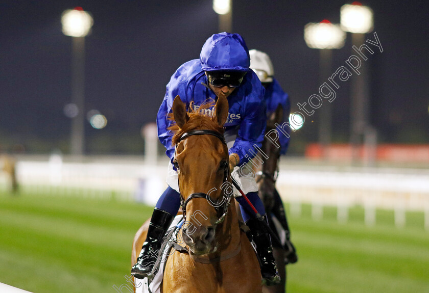 Beautiful-Love-0002 
 BEAUTIFUL LOVE (Mickael Barzalona)
Meydan 2 Feb 2024 - Pic Steven Cargill / Racingfotos.com