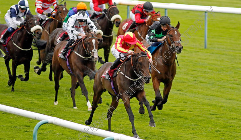 Lil-Guff-0005 
 LIL GUFF (James Doyle) wins The Cazoo Edge Green Handicap
Haydock 21 May 2022 - Pic Steven Cargill / Racingfotos.com