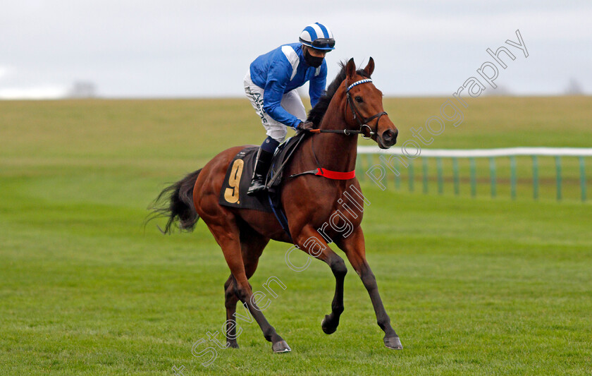 Modmin-0001 
 MODMIN (Jim Crowley)
Newmarket 30 Oct 2020 - Pic Steven Cargill / Racingfotos.com