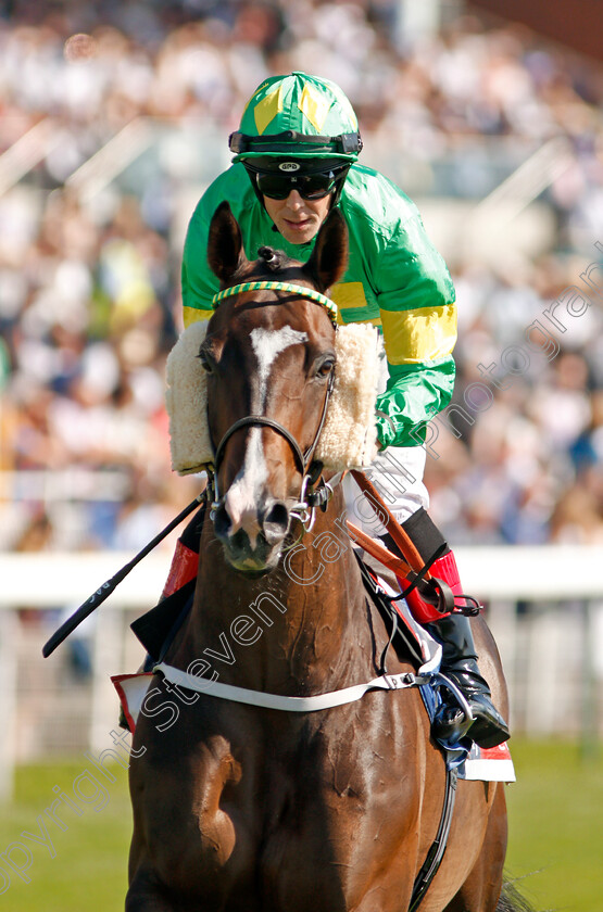 Kelly s-Dino-0001 
 KELLY'S DINO (Ben Curtis)
York 24 Aug 2019 - Pic Steven Cargill / Racingfotos.com