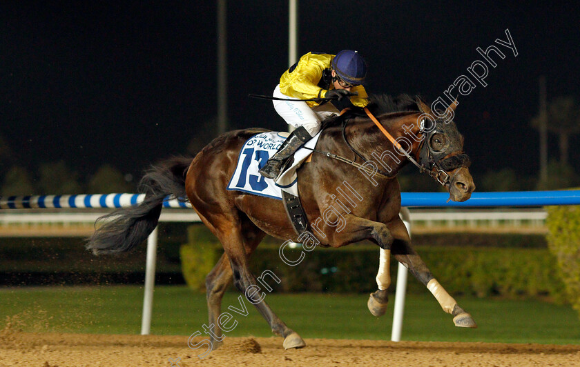 George-Villiers-0003 
 GEORGE VILLIERS (Tadhg O'Shea) wins The Jebel Ali Port Handicap
Meydan 23 Jan 2020 - Pic Steven Cargill / Racingfotos.com