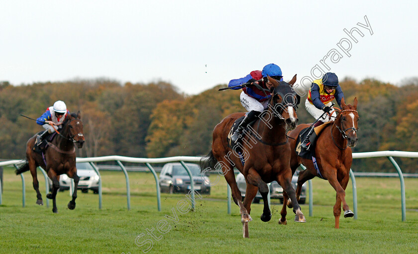 Tao-Te-Ching-0001 
 TAO TE CHING (Robert Havlin) beats CADEAU D'OR (right) in The Mansionbet Best Odds Guaranteed Novice Stakes
Nottingham 28 Oct 2020 - Pic Steven Cargill / Racingfotos.com