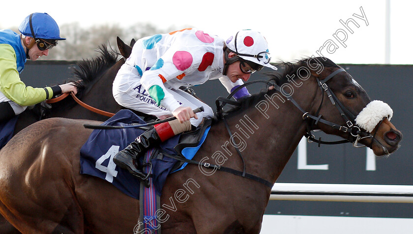 Weloof-0005 
 WELOOF (Adam Kirby) wins The sunracing.co.uk Handicap
Lingfield 18 Jan 2019 - Pic Steven Cargill / Racingfotos.com