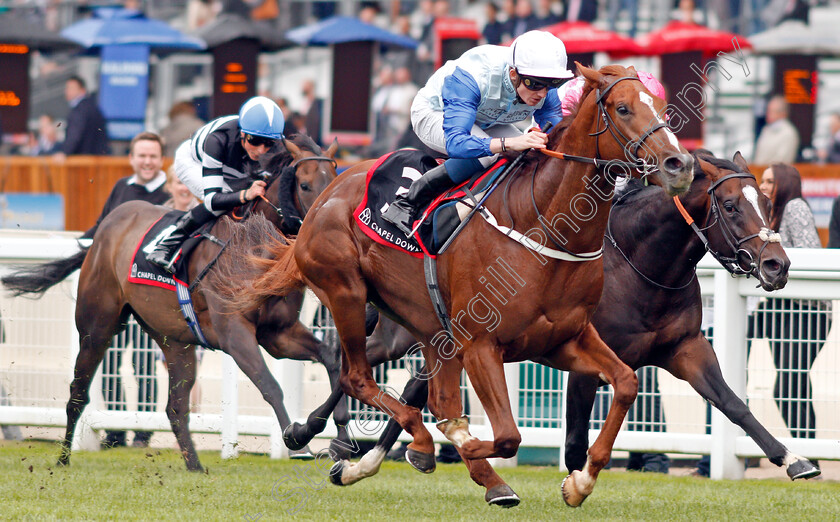 Ebury-0004 
 EBURY (Rob Hornby) wins The Chapel Down Classified Stakes
Ascot 6 Sep 2019 - Pic Steven Cargill / Racingfotos.com