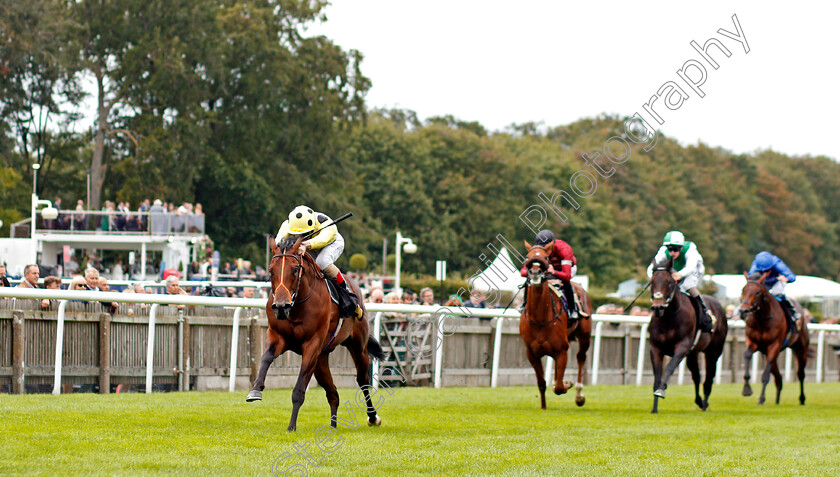 Razzle-Dazzle-0003 
 RAZZLE DAZZLE (Andrea Atzeni) wins The Mansionbet Watch And Bet British EBF Novice Stakes
Newmarket 27 Aug 2021 - Pic Steven Cargill / Racingfotos.com