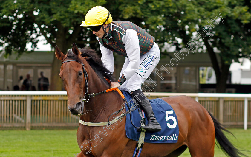 A-Lilac-Rolla-0002 
 A LILAC ROLLA (W J Lee)
Newmarket 12 Jul 2024 - Pic Steven Cargill / Racingfotos.com