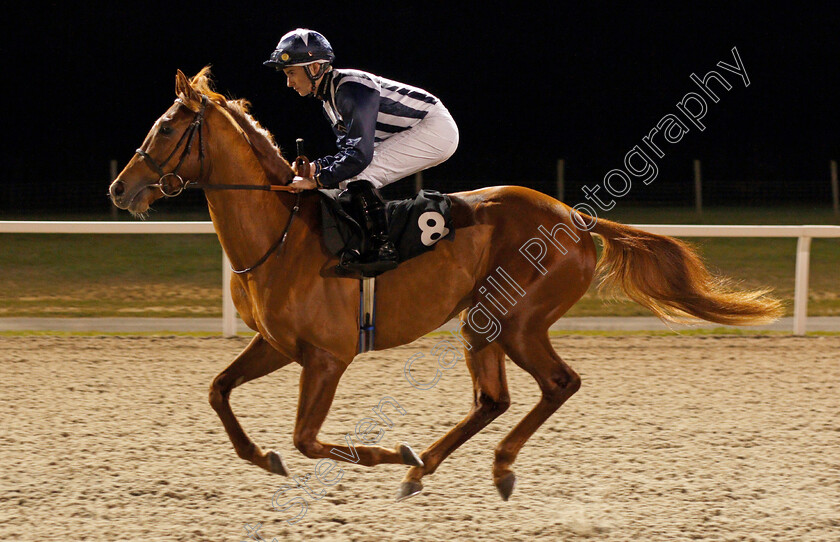 Win-O Clock-0002 
 WIN O'CLOCK (Adam McNamara)
Chelmsford 2 Jan 2020 - Pic Steven Cargill / Racingfotos.com