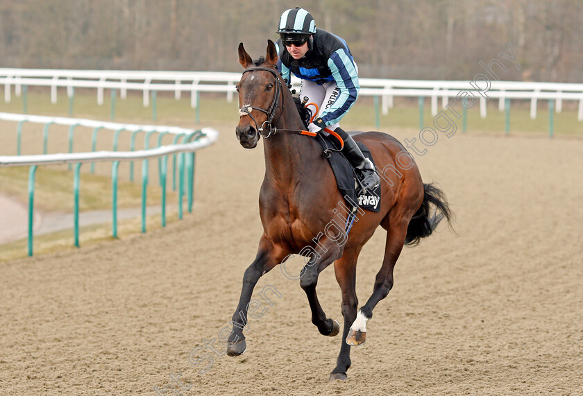 Slowfoot-0001 
 SLOWFOOT (Robert Winston) Lingfield 3 Mar 2018 - Pic Steven Cargill / Racingfotos.com