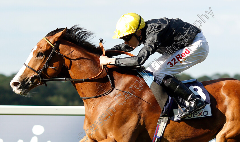 Akbar-Shah-0003 
 AKBAR SHAH (Jamie Spencer) wins The Sodexo Handicap
Ascot 7 Sep 2018 - Pic Steven Cargill / Racingfotos.com