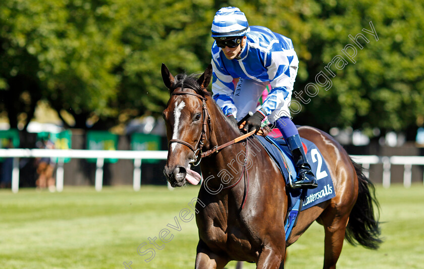 Sibila-Spain 
 SIBILA SPAIN (Aurelien Lemaitre)
Newmarket 8 Jul 2022 - Pic Steven Cargill / Racingfotos.com