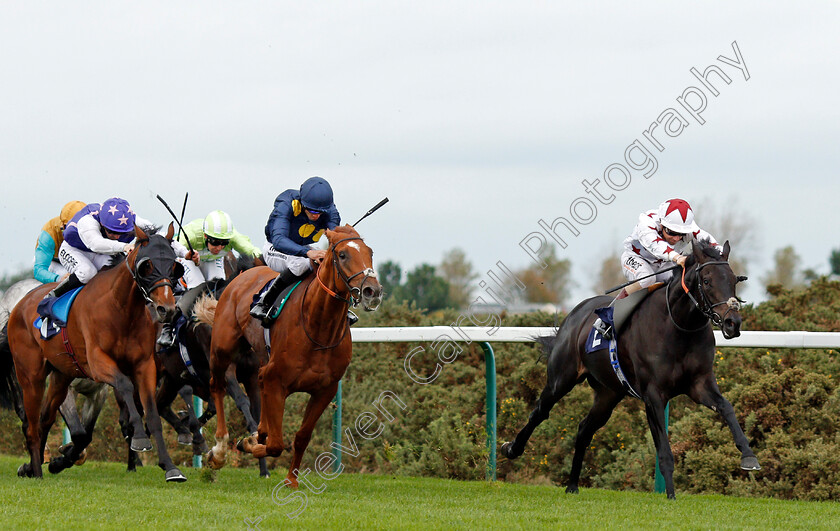 Hajaam-0003 
 HAJAAM (Stevie Donohoe) beats BIG SIGH (2nd left) and FIRST QUEST (left) in The Philip Southgate Socks & Sandals Handicap Yarmouth 24 Oct 2017 - Pic Steven Cargill / Racingfotos.com