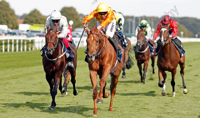 Sleeping-Lion-0005 
 SLEEPING LION (centre, Jamie Spencer) beats CHARLES KINGSLEY (left) in The William Hill Mallard Handicap
Doncaster 13 Sep 2019 - Pic Steven Cargill / Racingfotos.com