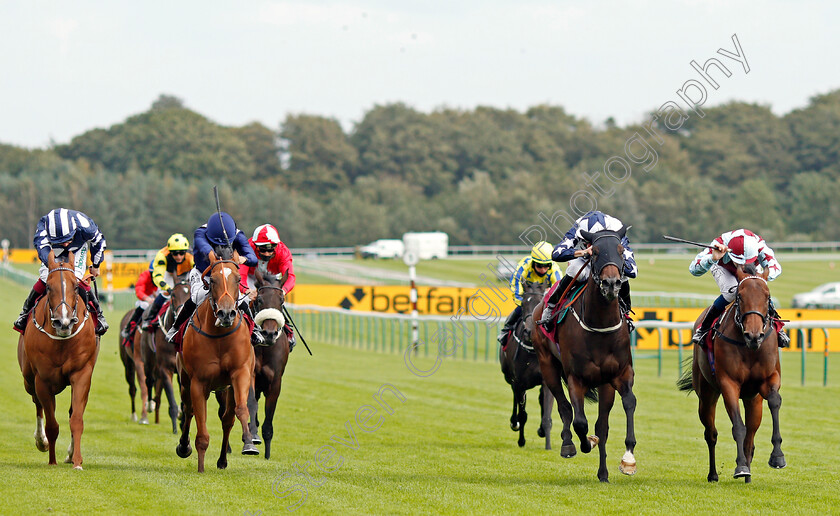 Series-Of-Dreams-0001 
 SERIES OF DREAMS (right, Callum Shepherd) beats WORLDLY WISE (2nd right) in The Betfair Racing Only Bettor EBF Fillies Novice Stakes
Haydock 4 Sep 2020 - Pic Steven Cargill / Racingfotos.com