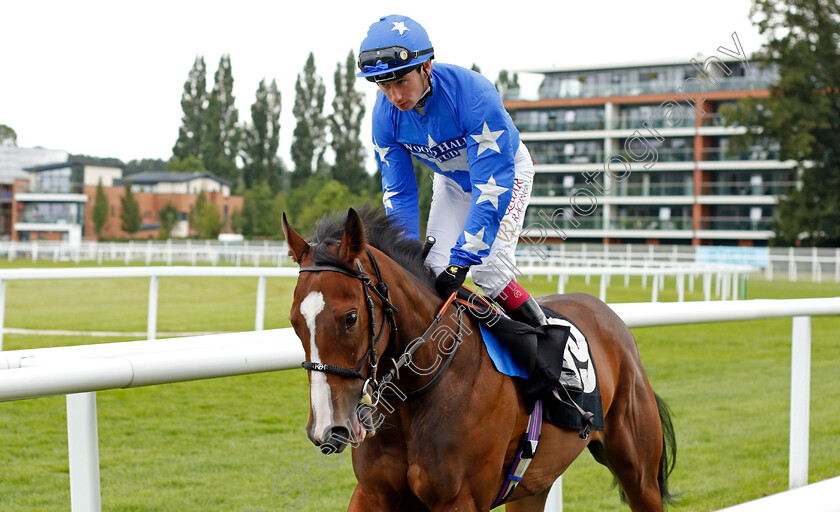 Tardis-0001 
 TARDIS (Oisin Murphy) winner of The BetVictor St Hugh's Stakes
Newbury 13 Aug 2021 - Pic Steven Cargill / Racingfotos.com