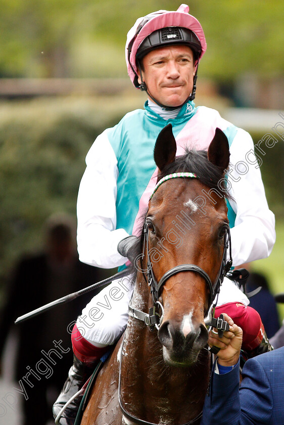 Calyx-0013 
 CALYX (Frankie Dettori) after The Merriebelle Stable Commonwealth Cup Trial Stakes
Ascot 1 May 2019 - Pic Steven Cargill / Racingfotos.com