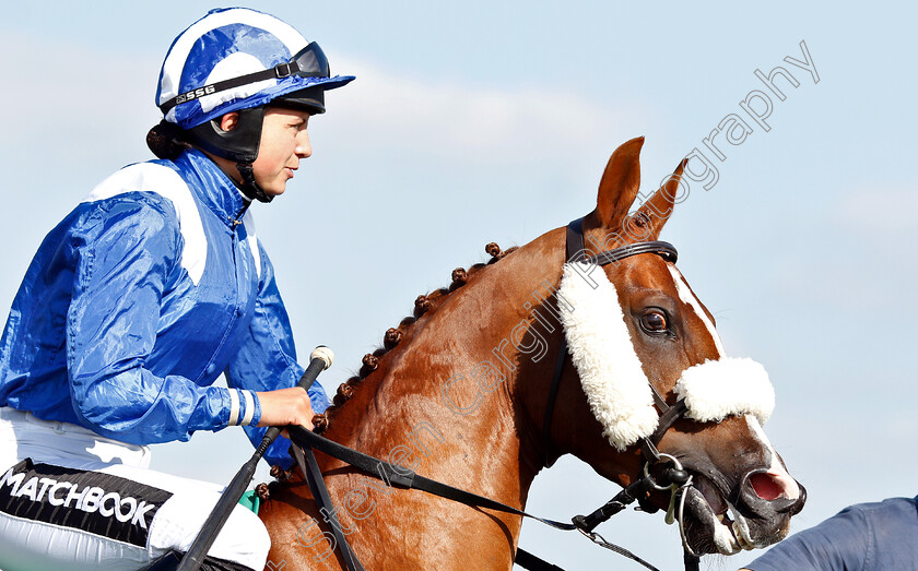 Jaahez-0003 
 BRYONY FROST before finishing 3rd aboard JAAHEZ in The Al Gheesah Beach Handicap for Purebred Arabians
Bath 3 Jul 2019 - Pic Steven Cargill / Racingfotos.com