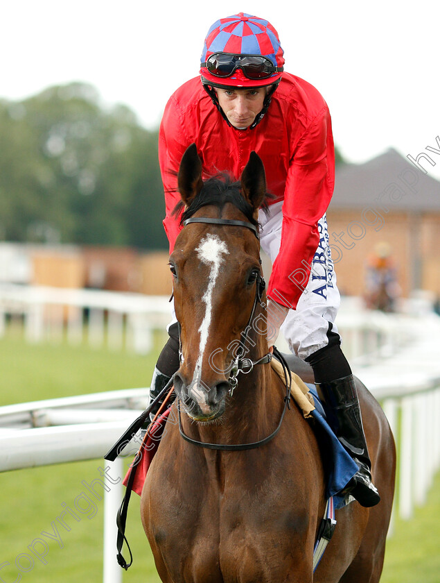 Mekong-0002 
 MEKONG (Ryan Moore)
York 15 Jun 2019 - Pic Steven Cargill / Racingfotos.com