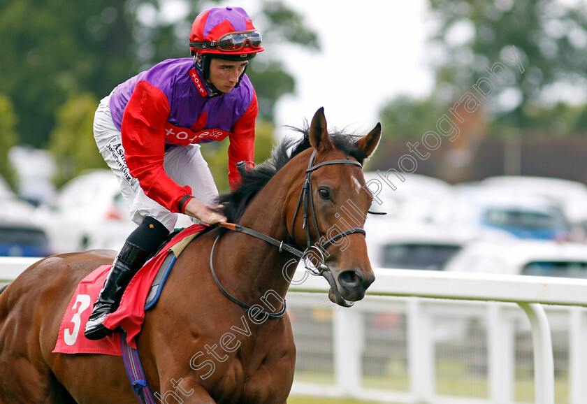 Palmar-Bay-0002 
 PALMAR BAY (Rossa Ryan)
Sandown 15 Jun 2024 - Pic Steven Cargill / Racingfotos.com