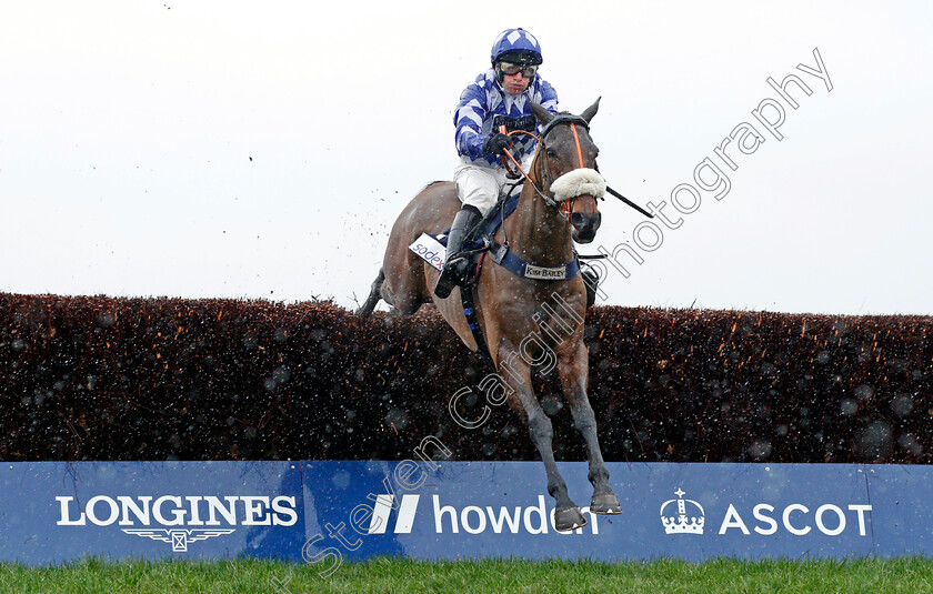 Does-He-Know-0002 
 DOES HE KNOW (David Bass) wins The Bateaux London Reynoldstown Novices Chase
Ascot 19 Feb 2022 - Pic Steven Cargill / Racingfotos.com