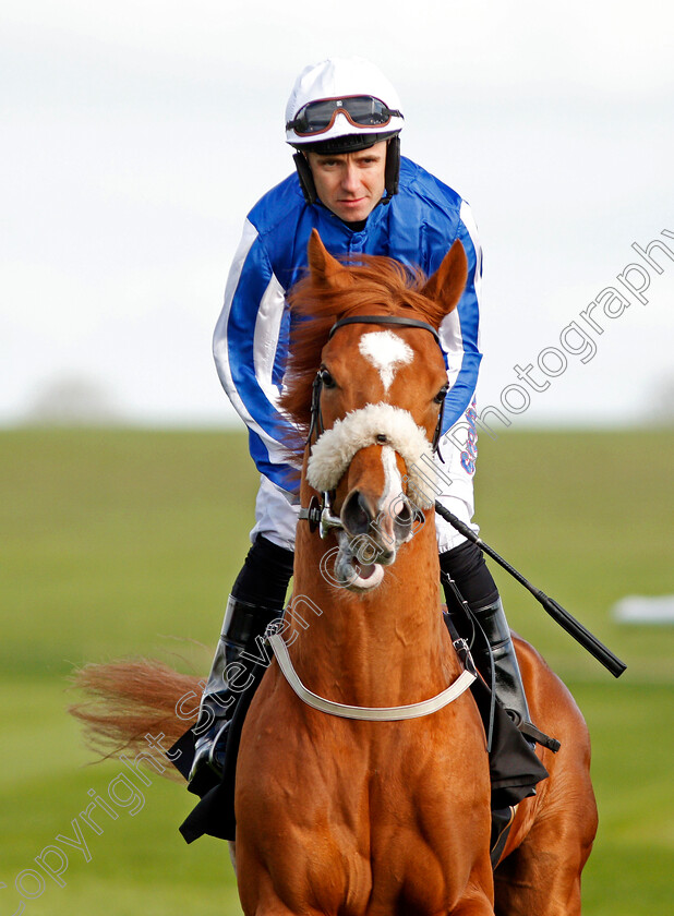 New-Show-0001 
 NEW SHOW (Tom Eaves) Newmarket 17 Apr 2018 - Pic Steven Cargill / Racingfotos.com