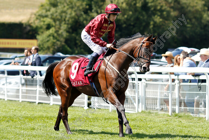 Federal-Law-0001 
 FEDERAL LAW (Oisin Murphy)
Goodwood 31 Jul 2018 - Pic Steven Cargill / Racingfotos.com