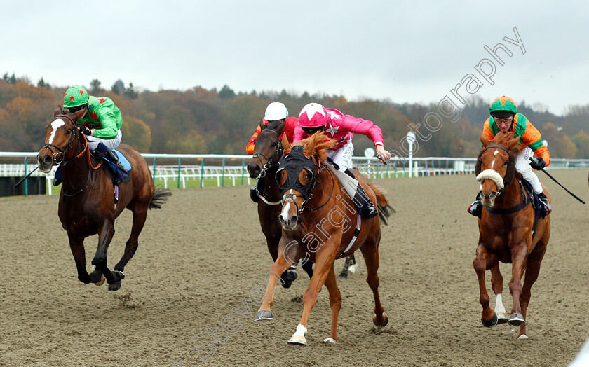 Lumen-0003 
 LUMEN (centre, George Wood) beats THRESHOLDOFADREAM (left) and NAFAAYES (right) in The Betway Stayers Handicap Div1
Lingfield 20 Nov 2018 - Pic Steven Cargill / Racingfotos.com