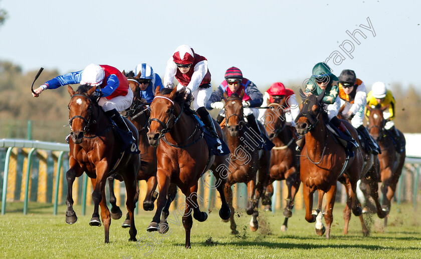 Mehdaayih-0003 
 MEHDAAYIH (left, Robert Havlin) beats FANNY LOGAN (centre) in The British Stallion Studs EBF Fillies Novice Stakes Div2
Yarmouth 23 Oct 2018 - pic Steven Cargill / Racingfotos.com