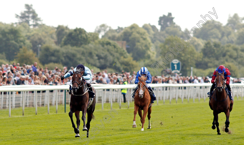 Royal-Patronage-0002 
 ROYAL PATRONAGE (Jason Hart) wins The Tattersalls Acomb Stakes
York 18 Aug 2021 - Pic Steven Cargill / Racingfotos.com