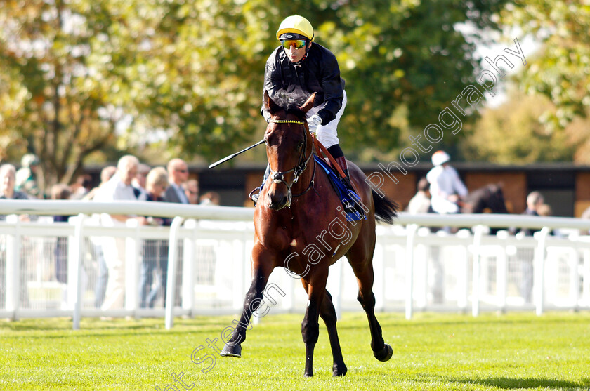 Ginistrelli-0001 
 GINISTRELLI (Gerald Mosse)
Salisbury 3 Oct 2018 - Pic Steven Cargill / Racingfotos.com