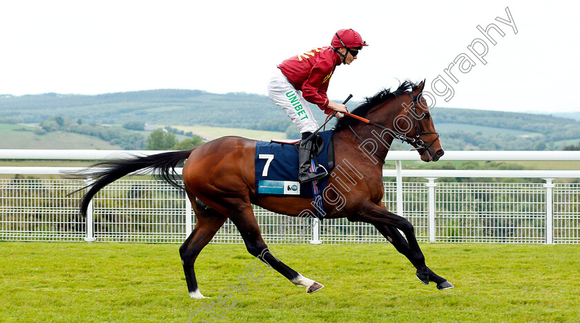 Spanish-Mission-0001 
 SPANISH MISSION (Jamie Spencer)
Goodwood 24 May 2019 - Pic Steven Cargill / Racingfotos.com