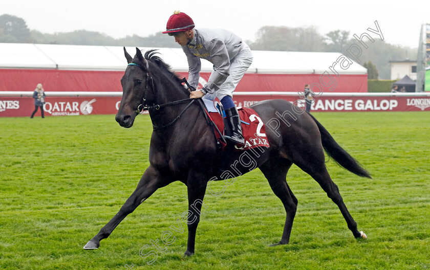 Simmering-0001 
 SIMMERING (Dylan Browne McMonagle)
Longchamp 6 Oct 2024 - Pic Steven Cargill / Racingfotos.com