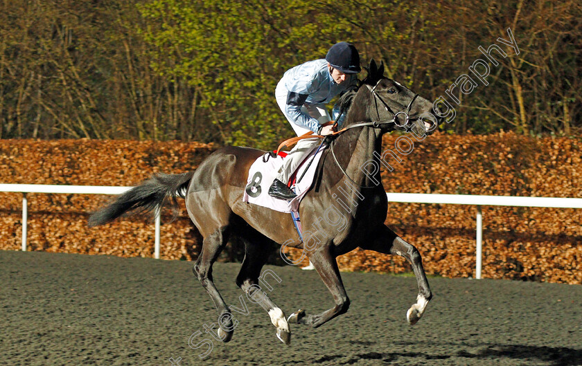 Affable-0001 
 AFFABLE (Rob Hornby)
Kempton 4 Mar 2020 - Pic Steven Cargill / Racingfotos.com